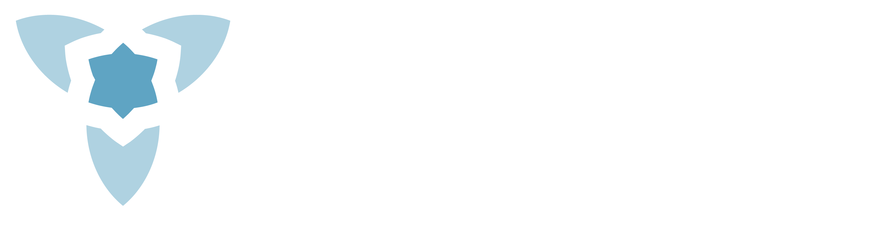 Jerusalem Center for Security and Foreign Affairs logo